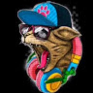 Meet your Posher, Dj